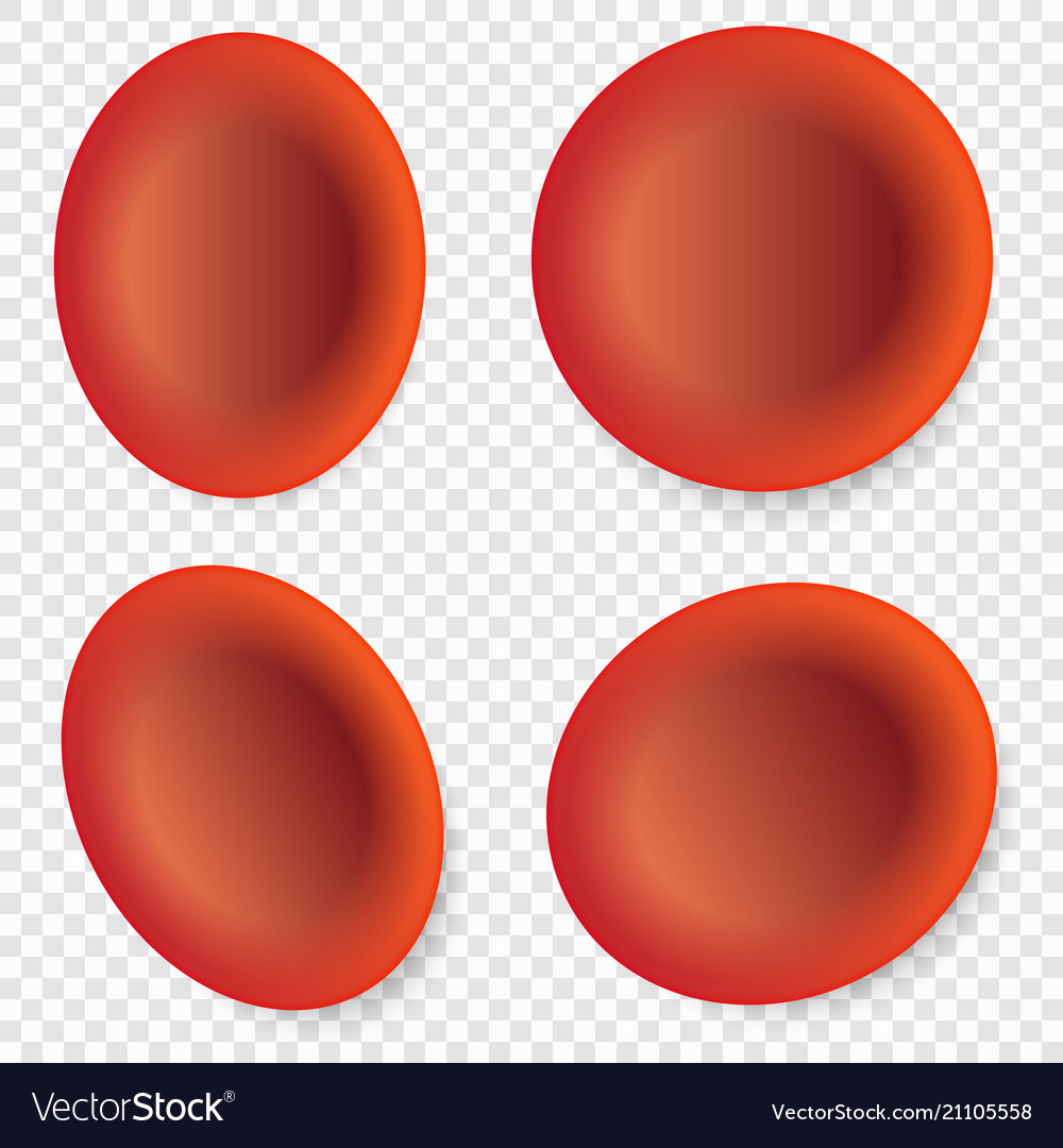 Red blood cells Royalty Free Vector Image - VectorStock