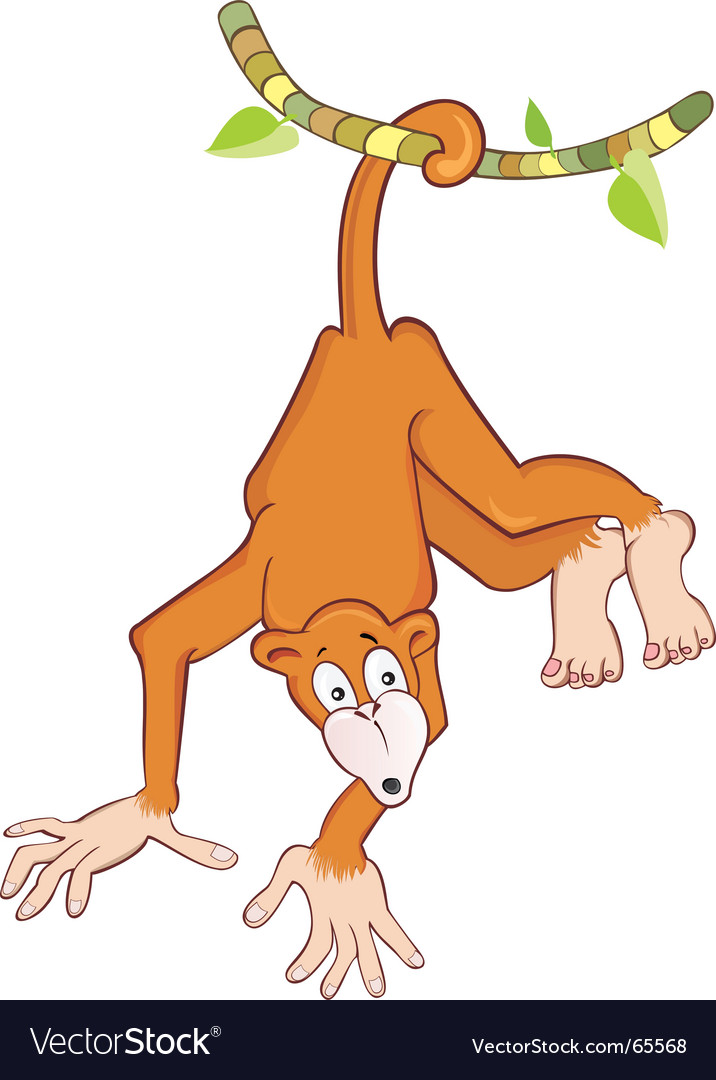 Surprised Monkey on Branch