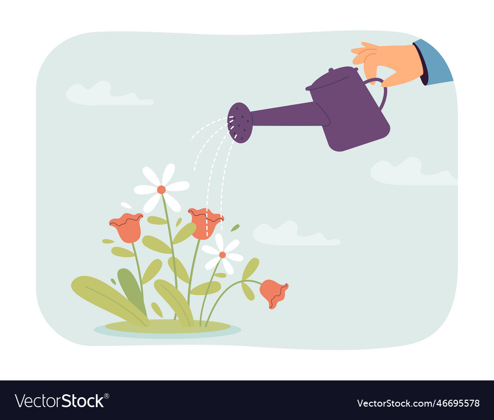 Human hand watering flowers flat