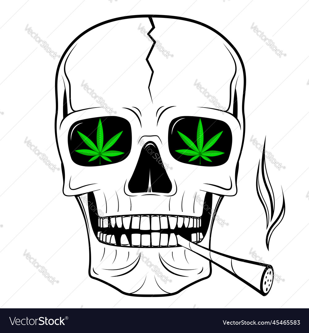 Skull - smoking weed Royalty Free Vector Image