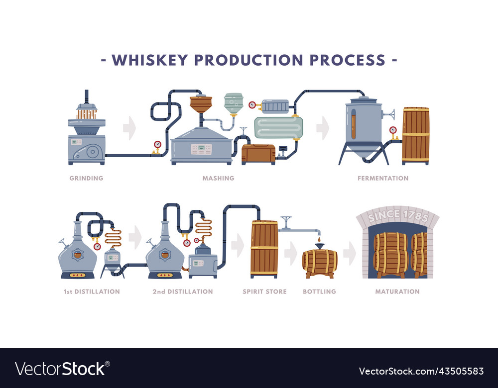 Whiskey production process with distillation Vector Image