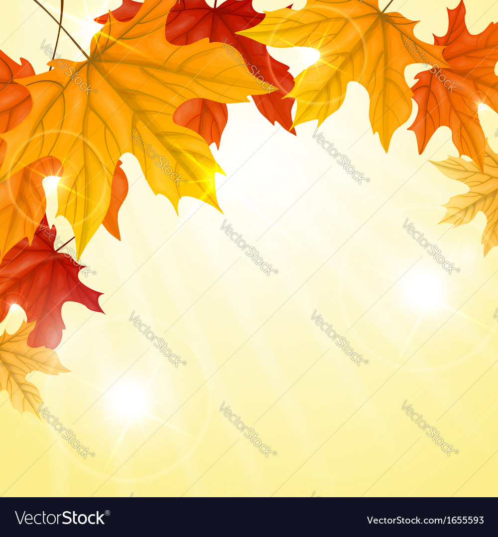 Autumn background Royalty Free Vector Image - VectorStock