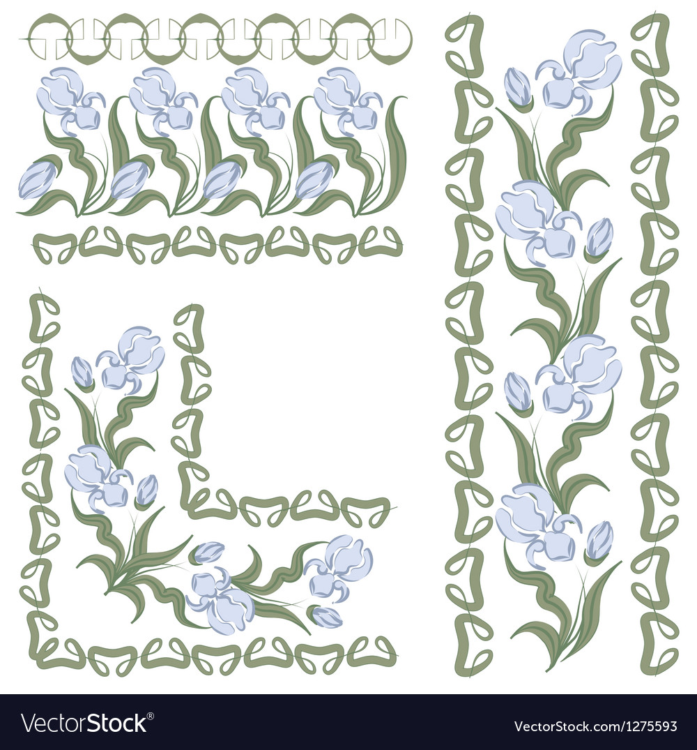 Iris pattern