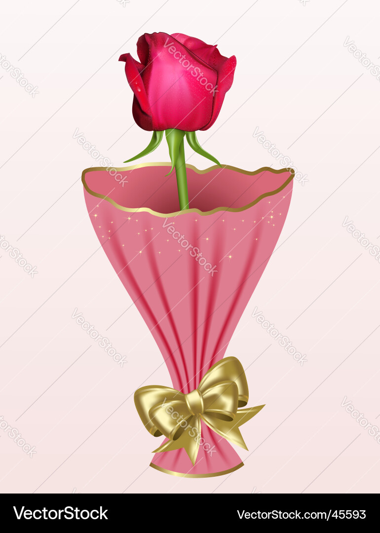 Rose Royalty Free Vector Image - VectorStock