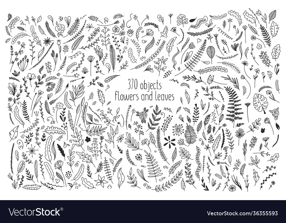Set objects from flowers and leaves doodle vector image Set objects from flowers and leaves doodle
