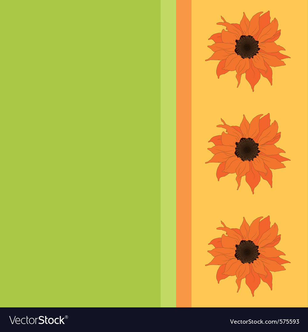 Sunflower background