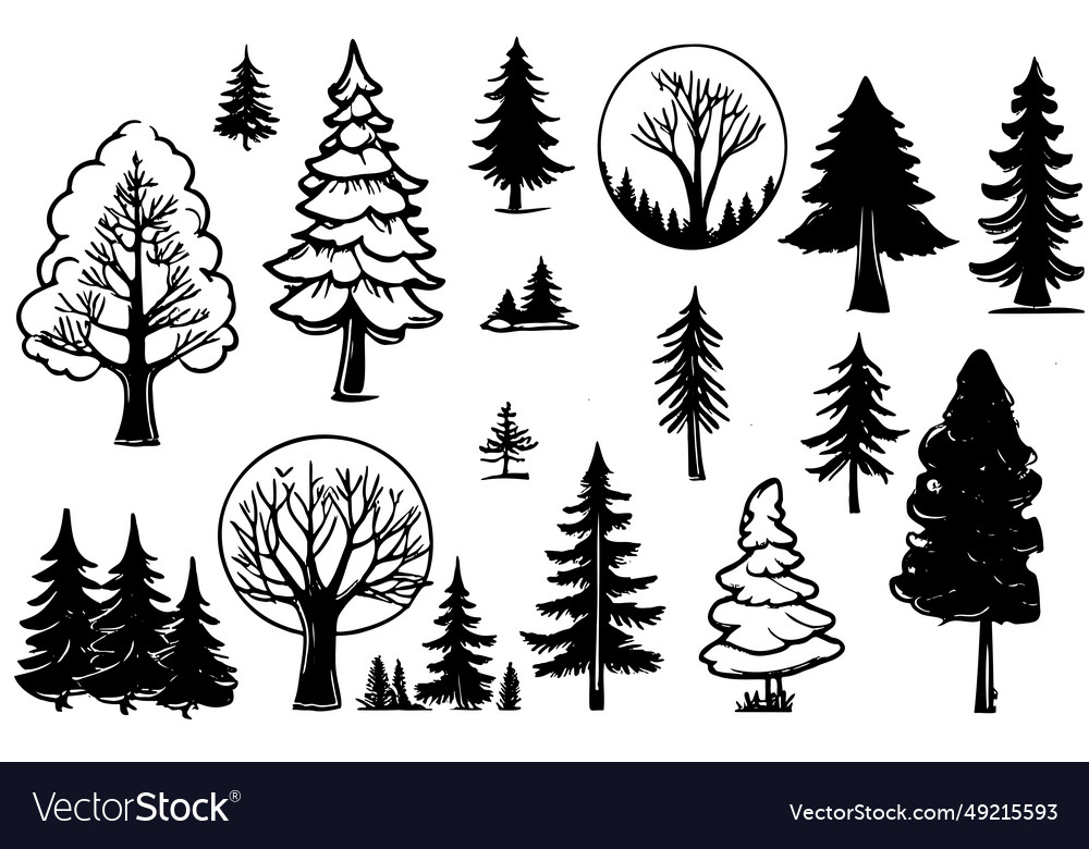 Tree Sketch Elements - Botanical Collection