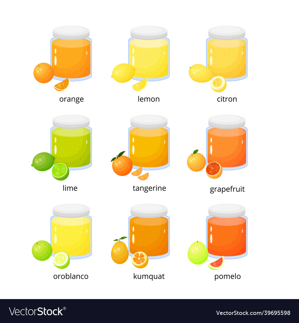 Collection of cartoon citrus jams Royalty Free Vector Image