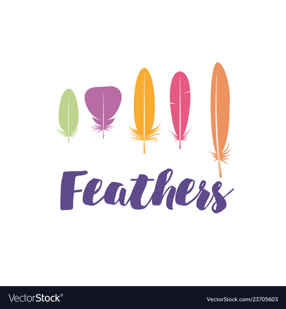 Template with feathers for invitations vector image Template with feathers for invitations