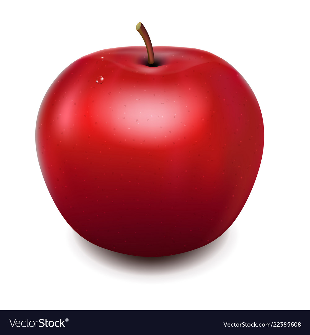 Fresh red apple Royalty Free Vector Image - VectorStock