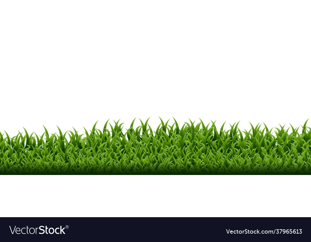 Green grass border set Royalty Free Vector Image