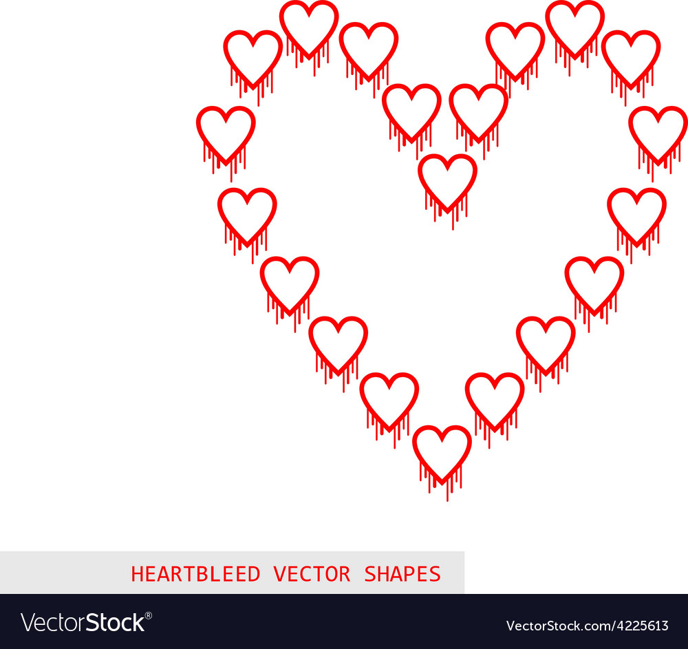Heartbleed openssl bug shape