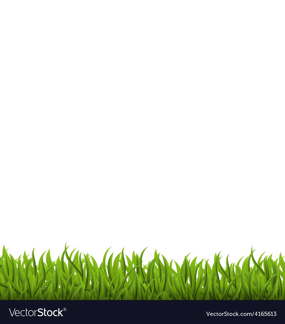 Spring background with green grass space for your