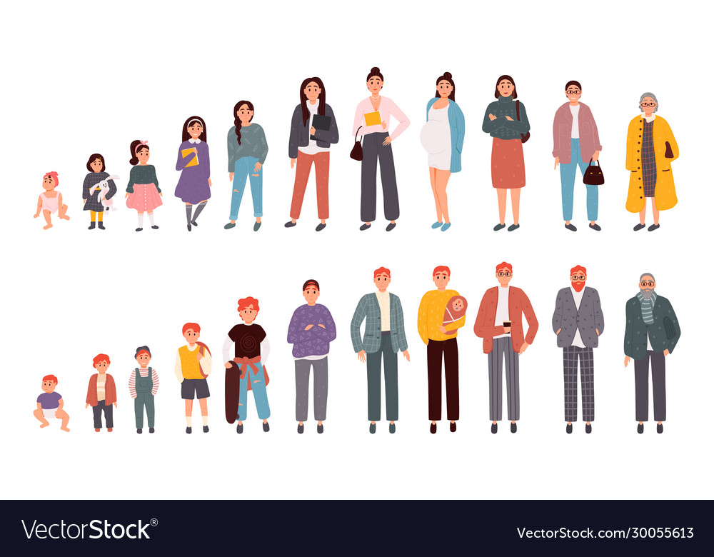 Stages aging men and women Royalty Free Vector Image