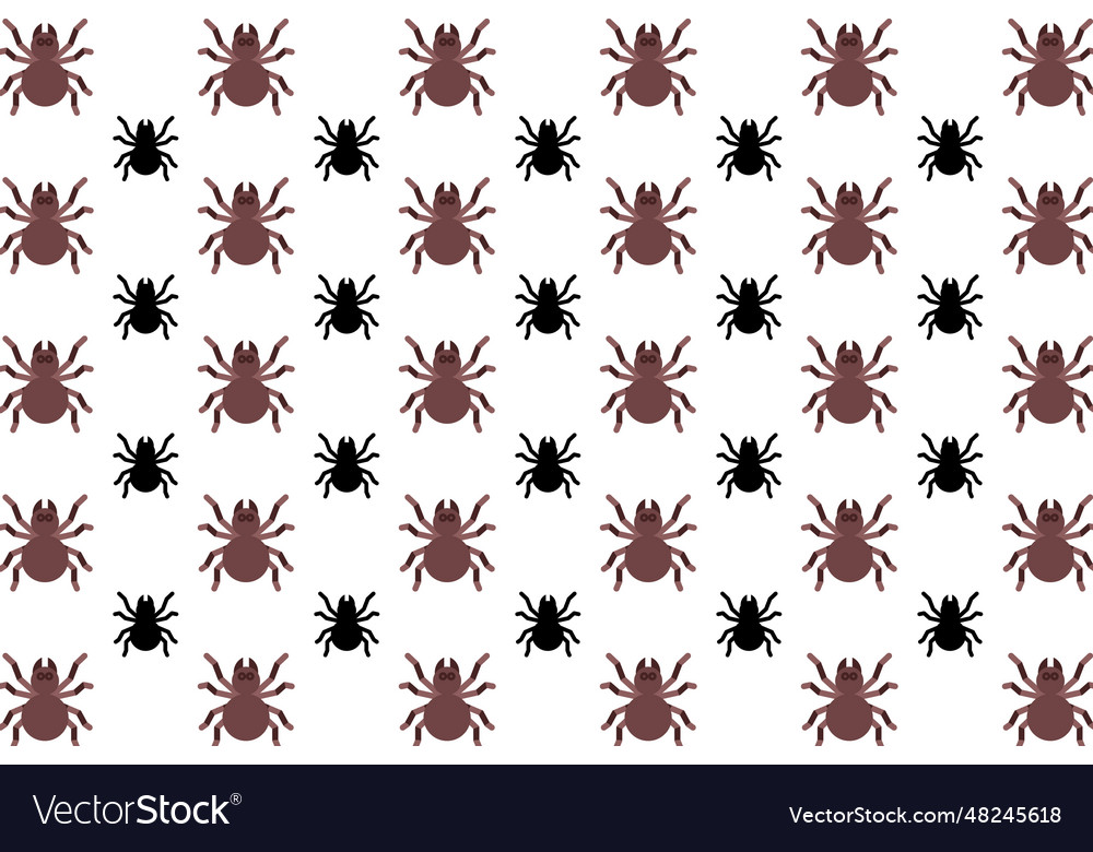 Flat tarantula spider pattern background vector image Flat tarantula spider pattern background