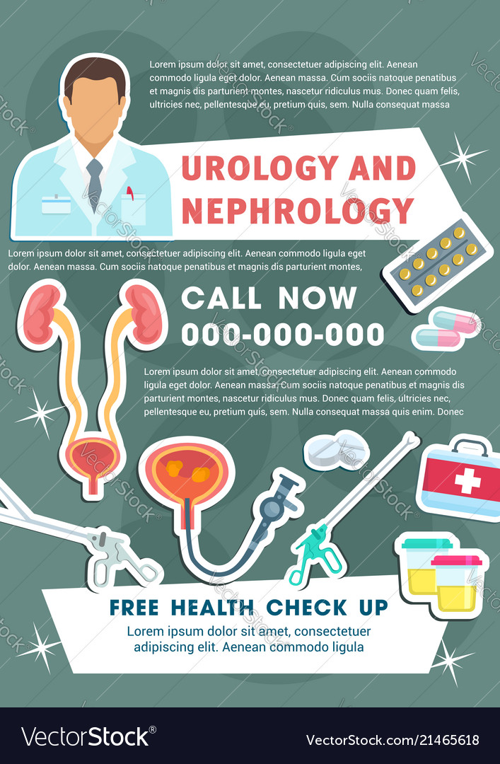 Medical Poster Of Urology And Nephrology Vector Image