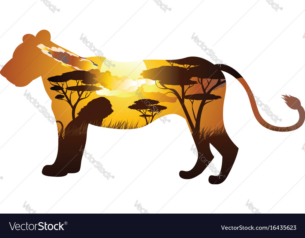 African sunset with lion