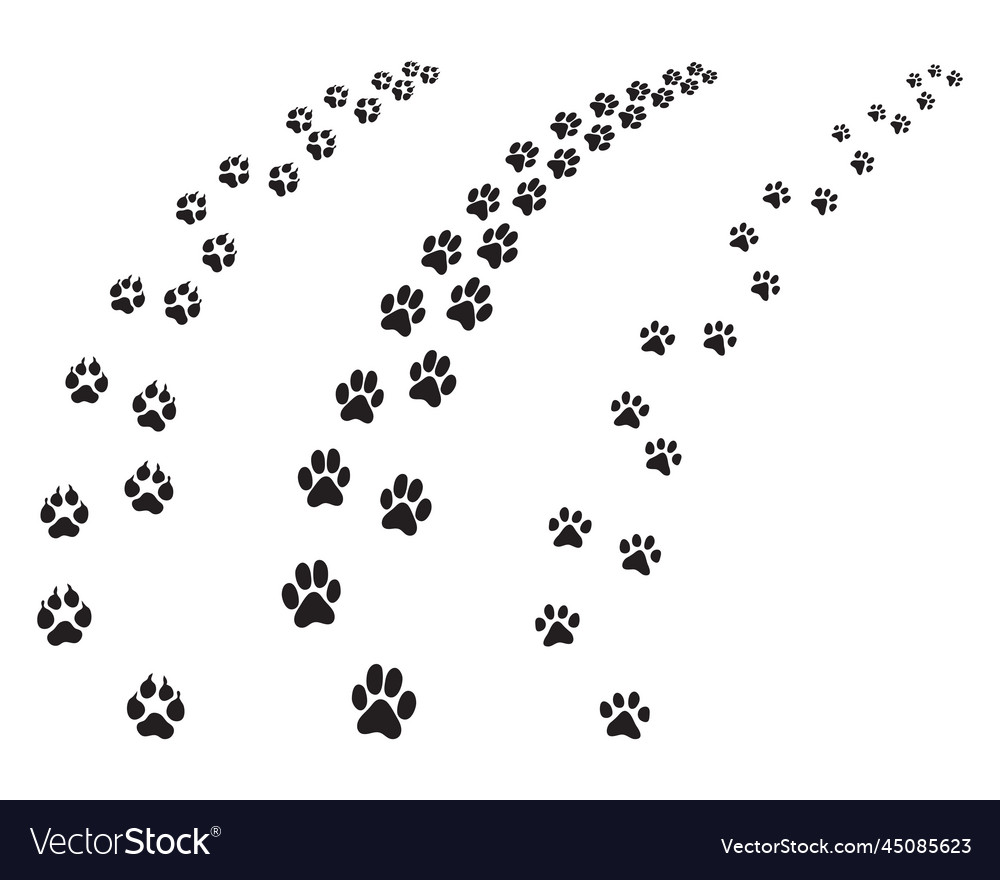 Black footprints of dogs Royalty Free Vector Image