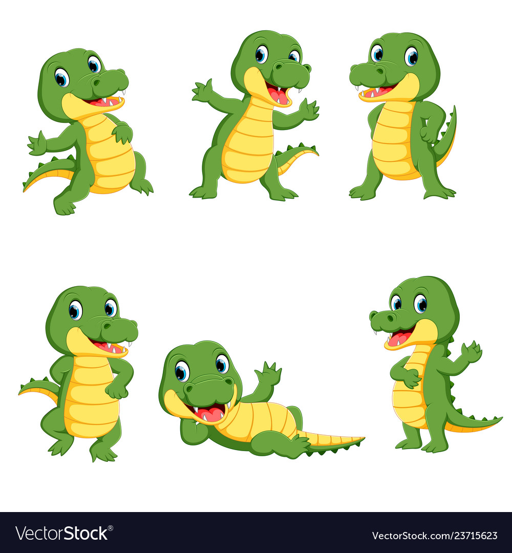 Collection of cute crocodile character cartoon Vector Image