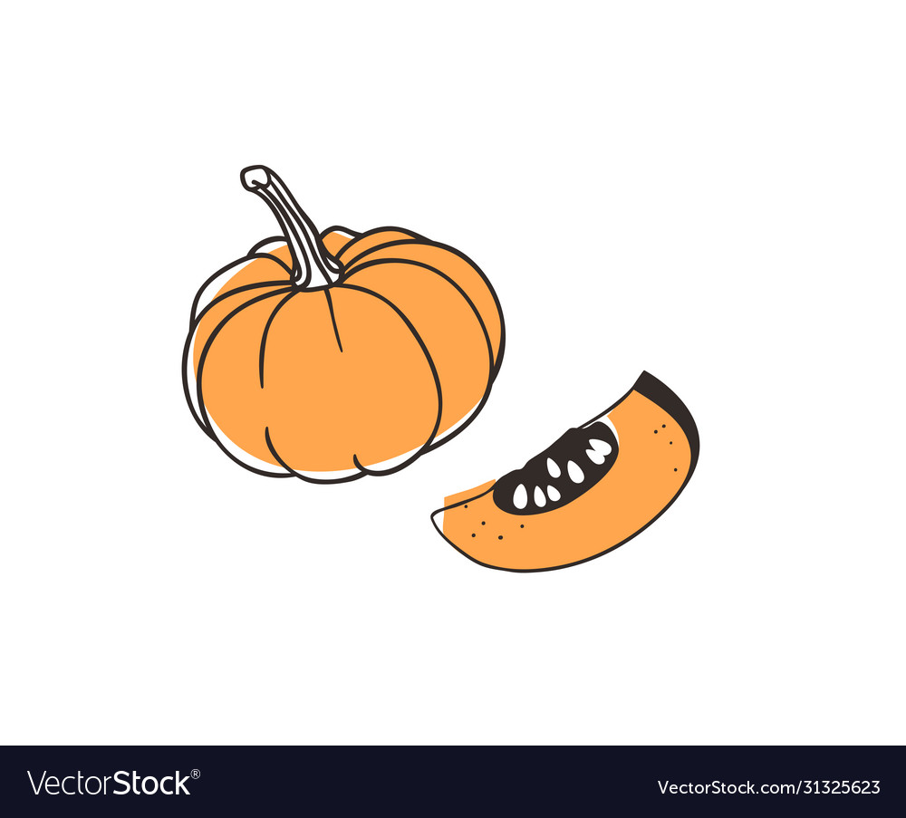 Doodle pumpkin hand drawn stylish fruit Royalty Free Vector