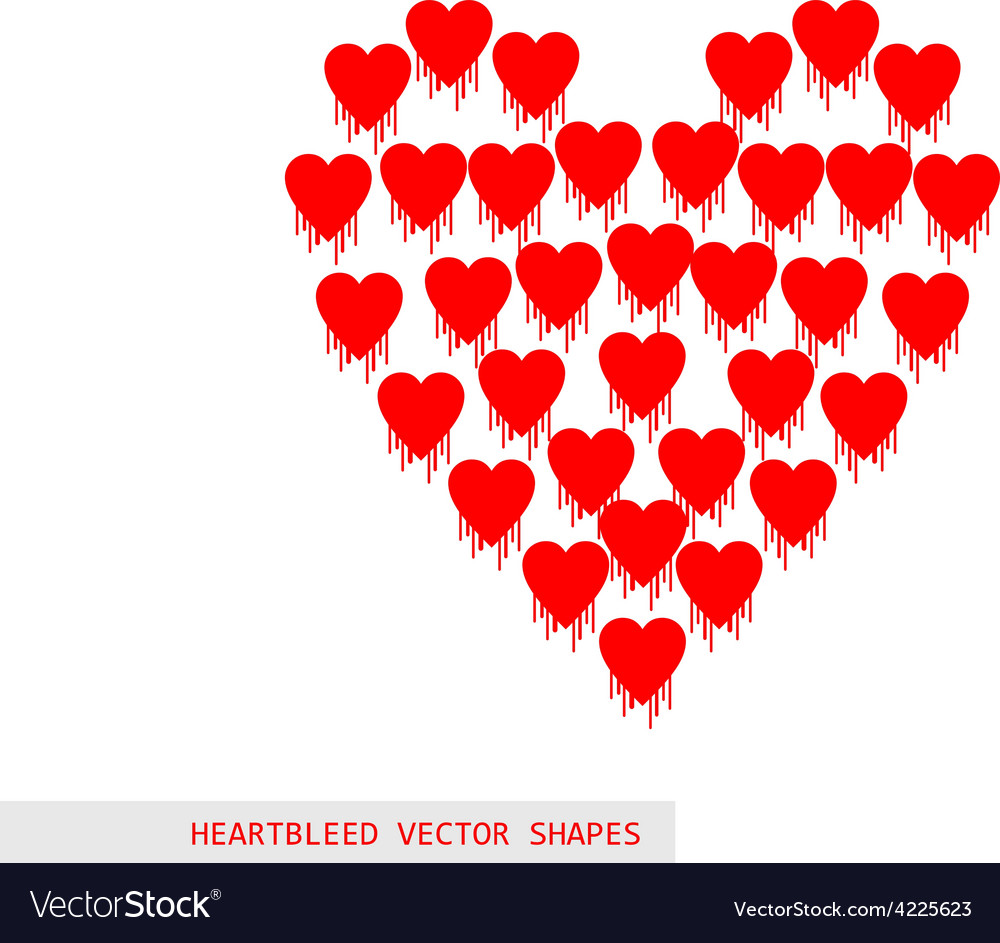 Heartbleed openssl bug shape