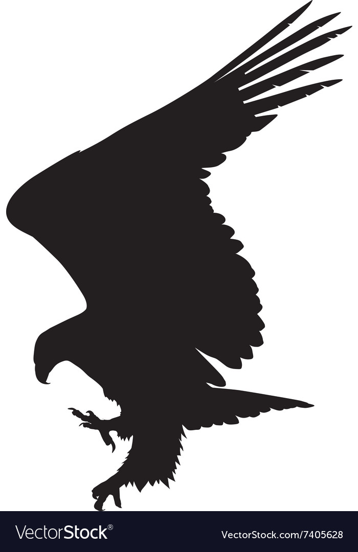 Eagle hunting Royalty Free Vector Image - VectorStock