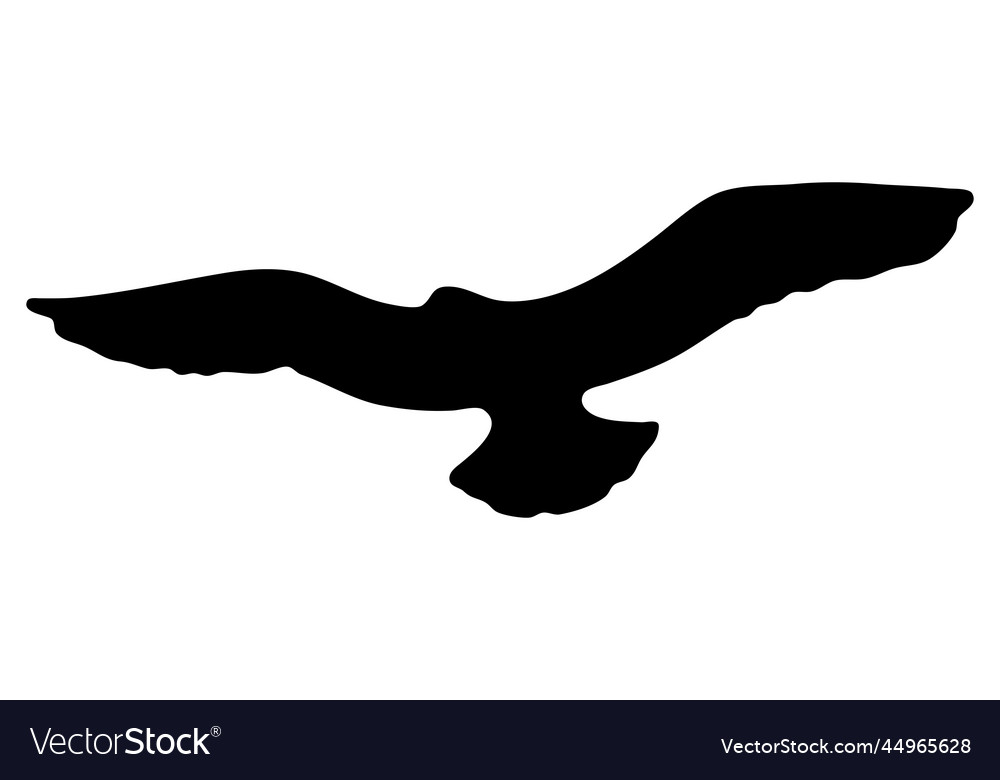 Fowl flying with open wings logo Royalty Free Vector Image