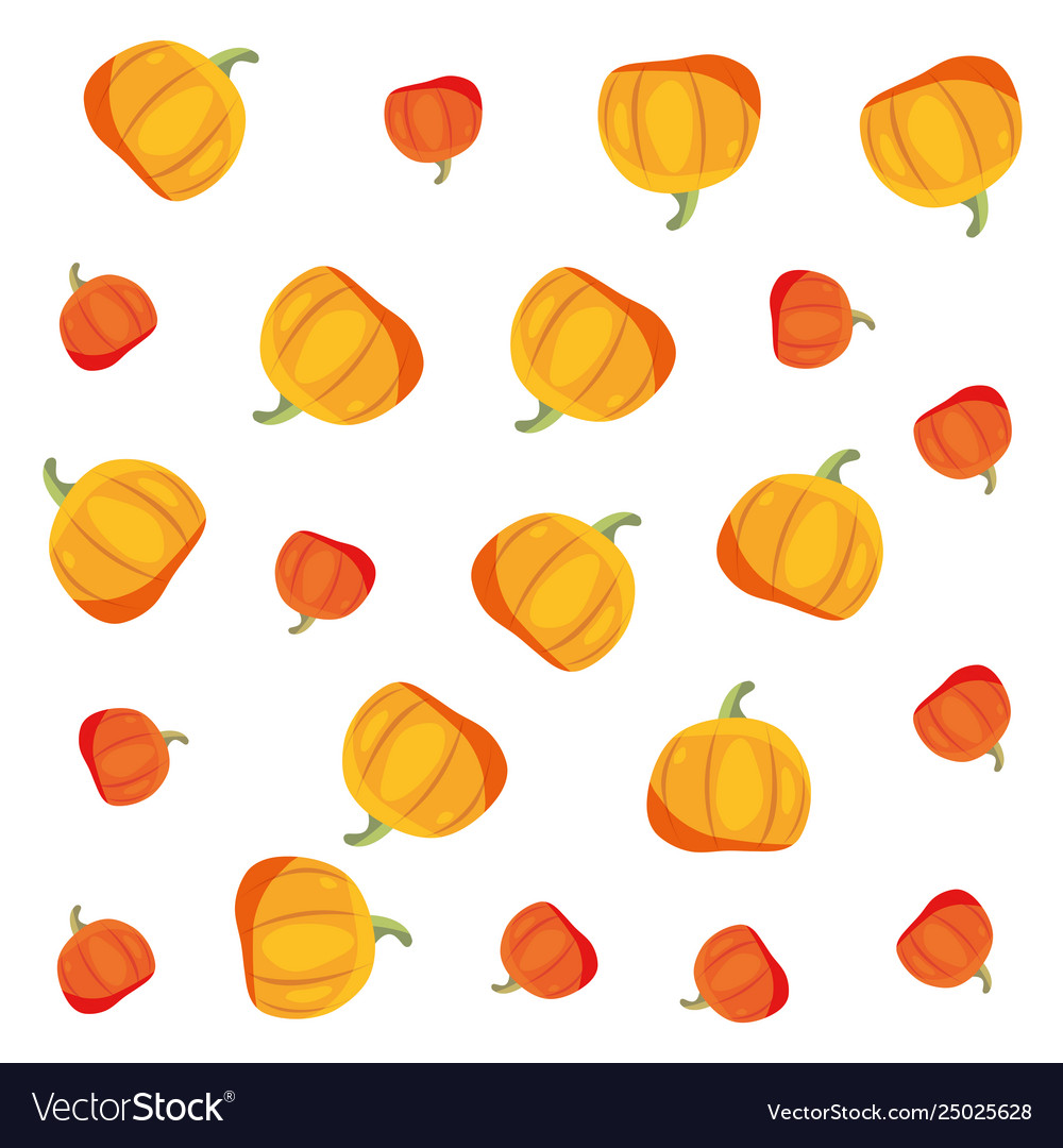 Yellow and orange pumpkins decoration background Vector Image