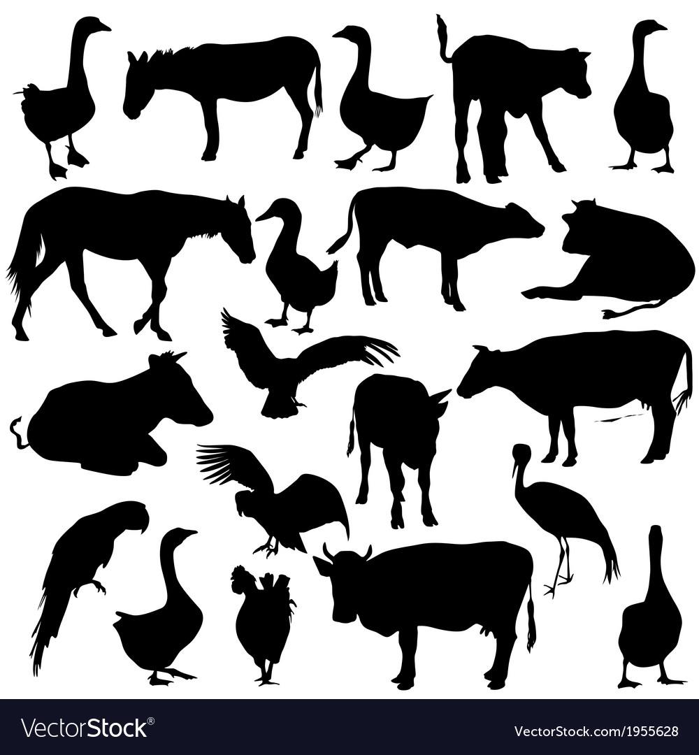 Zoo Animal Silhouettes Collection