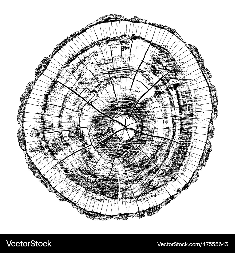 Distressed wood texture Royalty Free Vector Image
