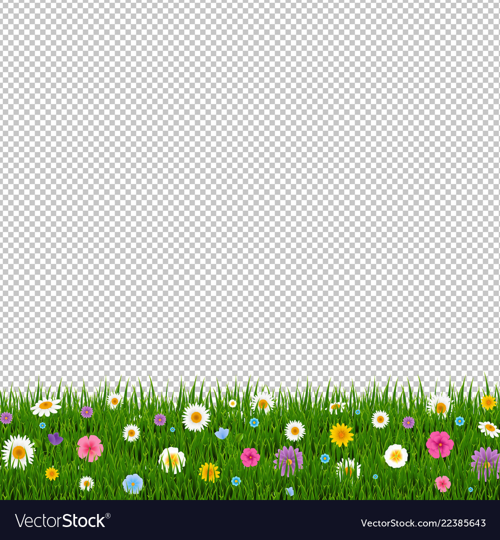 Grass and flowers border transparent background Vector Image