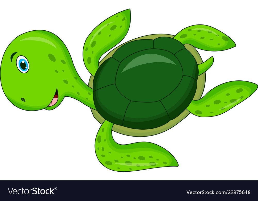 Cute turtle cartoon Royalty Free Vector Image - VectorStock