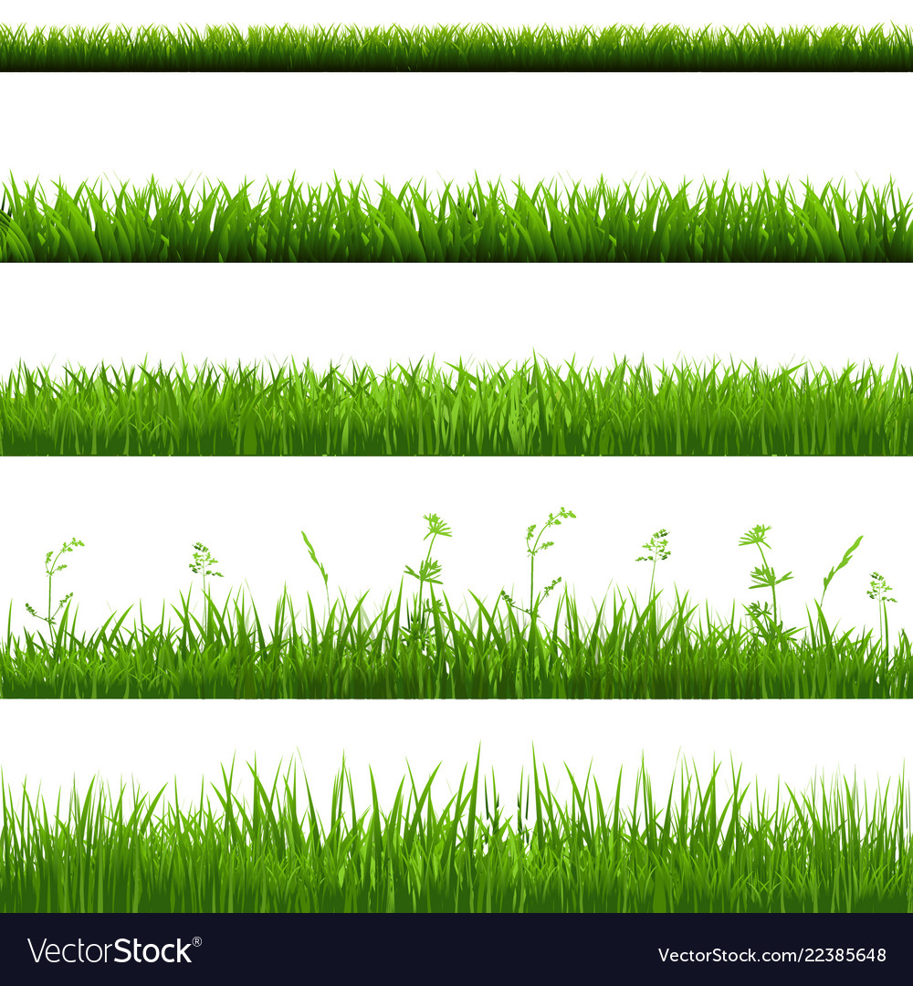 Grass borders big set vector image Grass borders big set