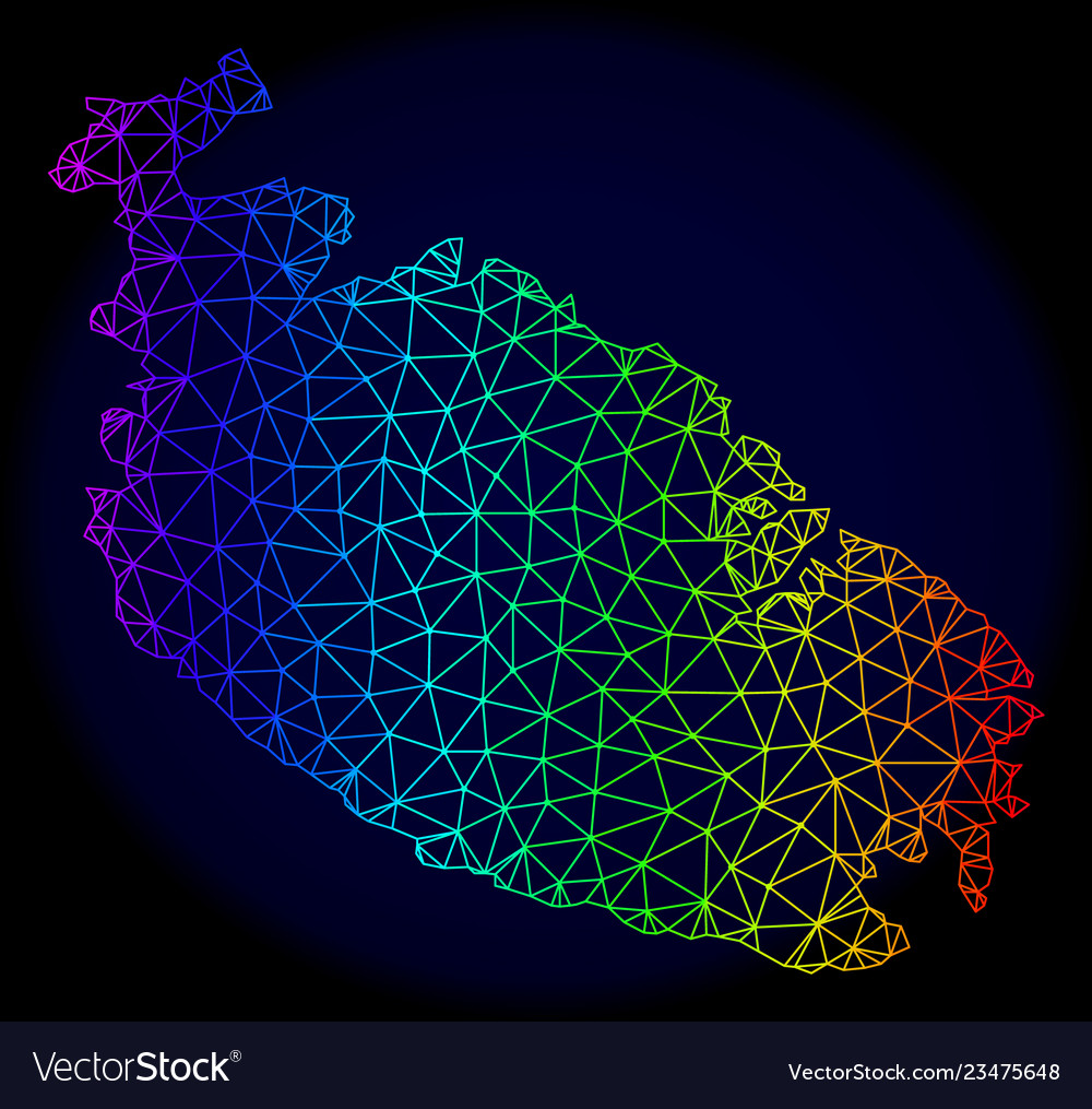 Polygonal carcass spectrum mesh map vector image Polygonal carcass spectrum mesh map