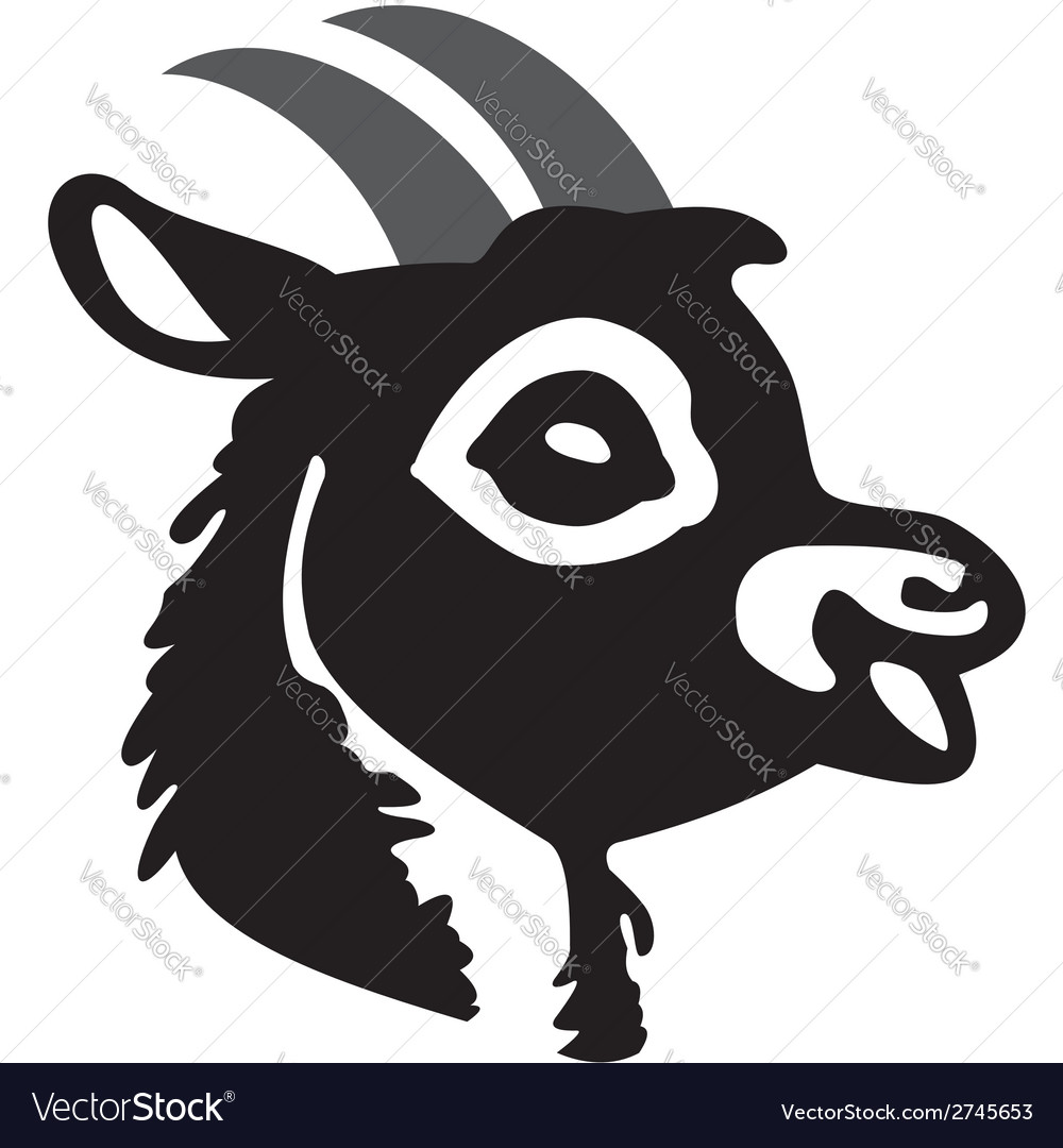 Head of goat
