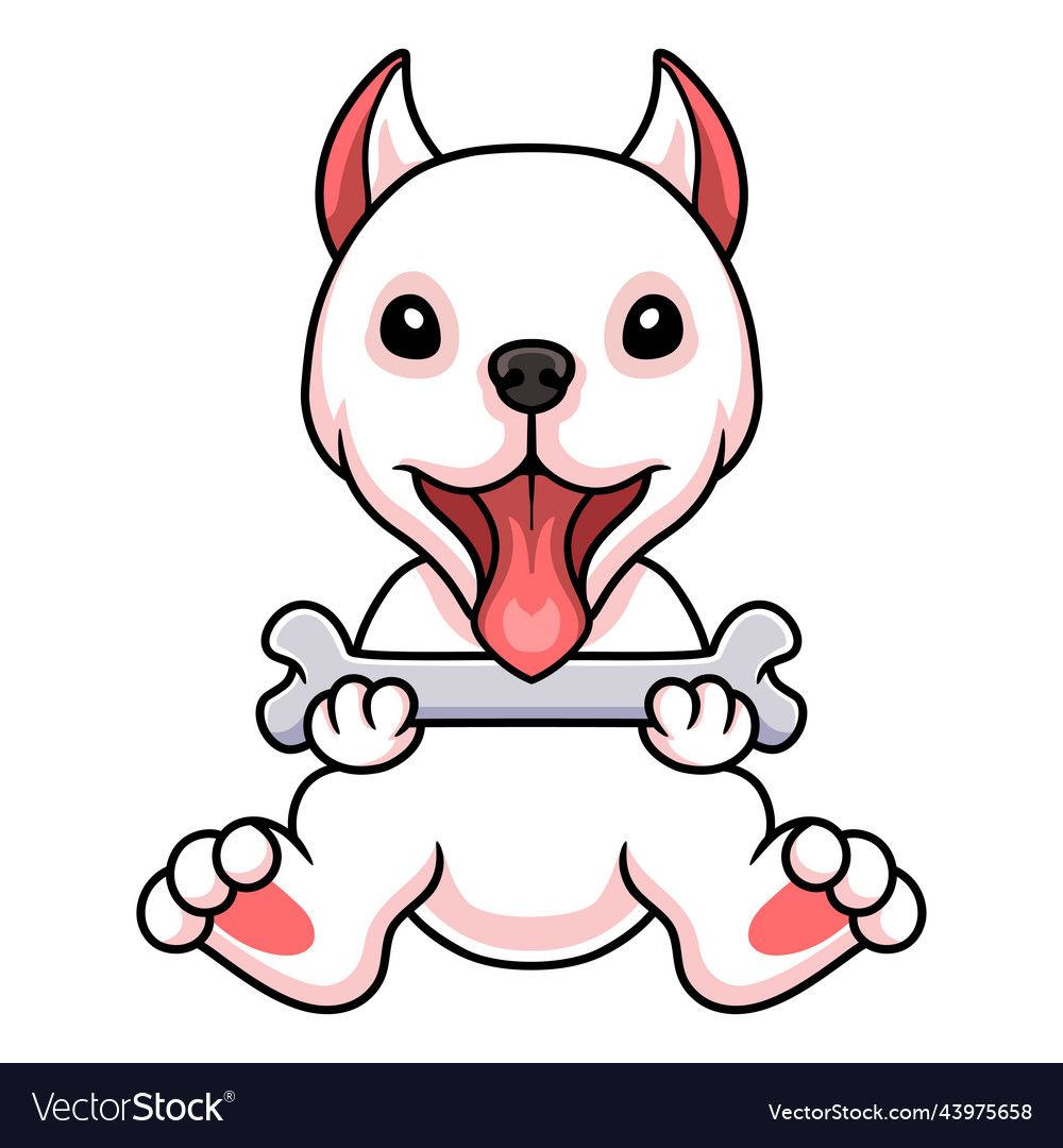 Cute Dogo Argentino Puppy with Bone