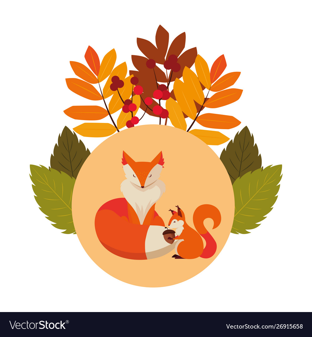 Fox and squirrel happy autumn season design Vector Image
