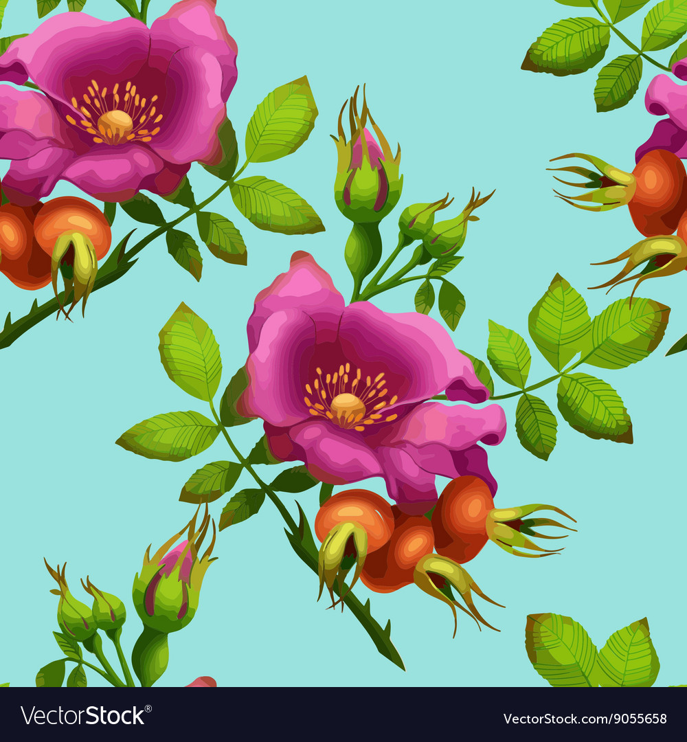 Seamless pattern of bright wild rose