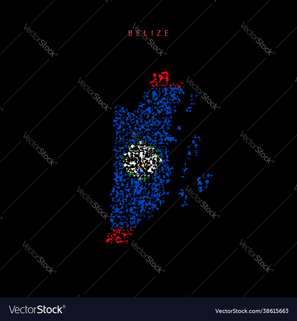 Belize flag map chaotic particles pattern vector image Belize flag map chaotic particles pattern