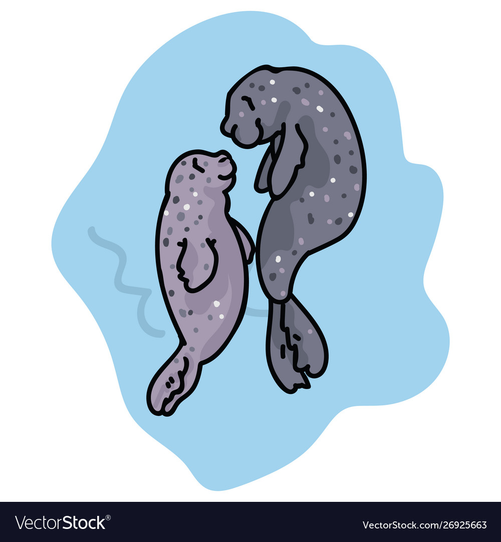 Cute parent and child seals ocean hand drawn