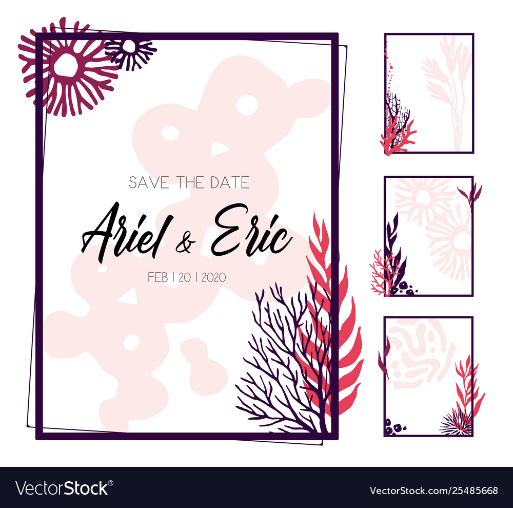 Frames with colorful corals on white background