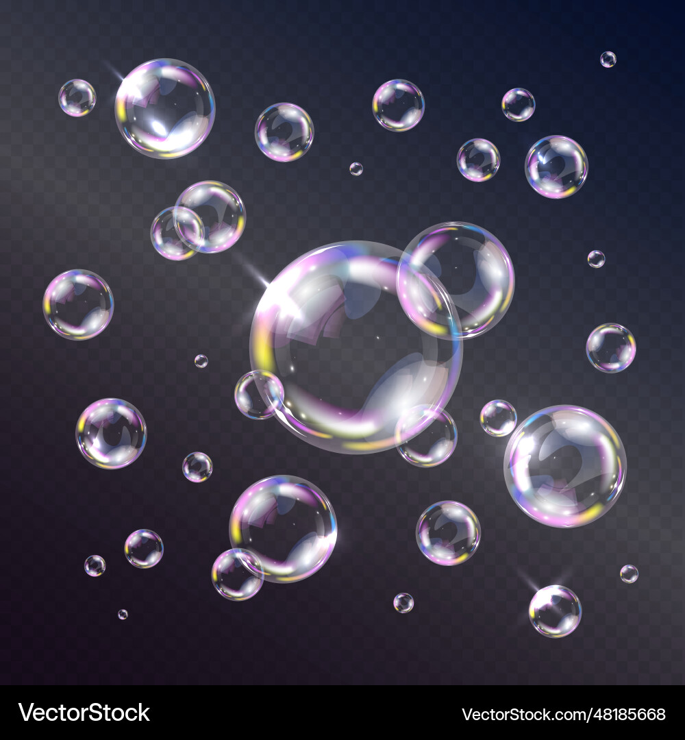 Realistic soap bubbles Royalty Free Vector Image
