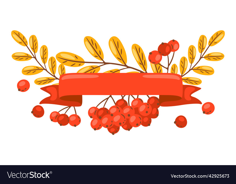 Background from rowan sprigs with berries image Vector Image Background from rowan sprigs with berries image