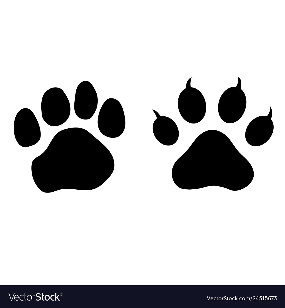 Cute Paw Prints Logo