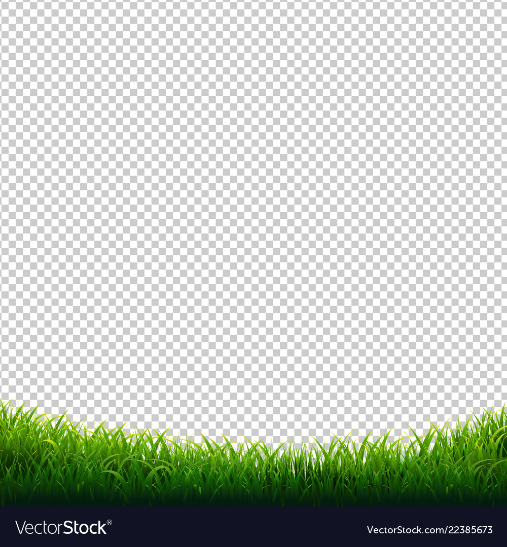 Green Grass Frame Transparent Background Vector Image vectorstock