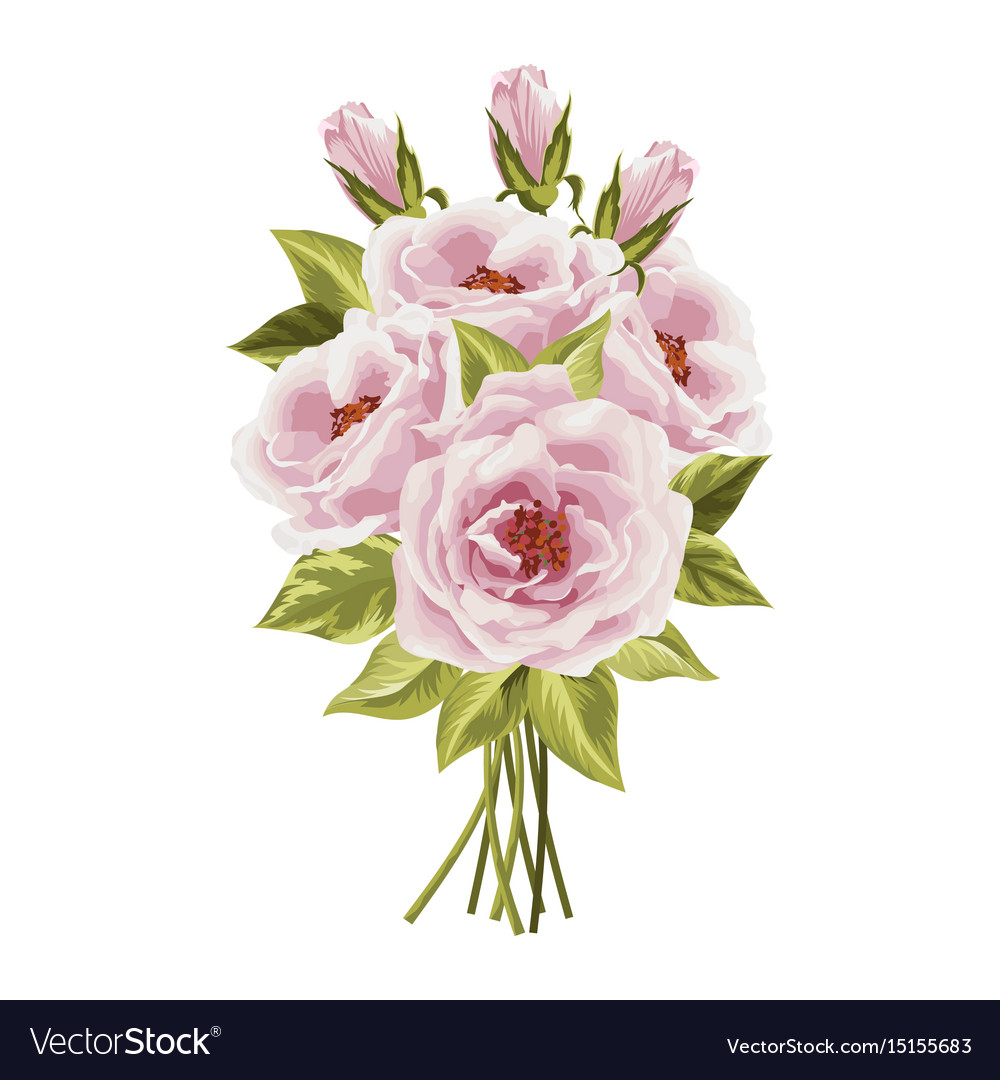 Beautiful bouquet of roses isolated on white Vector Image