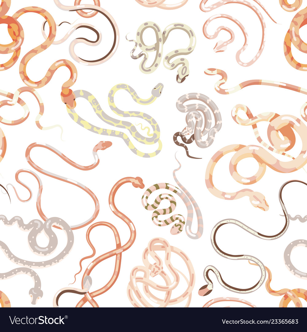 Seamless pattern with various exotic snakes