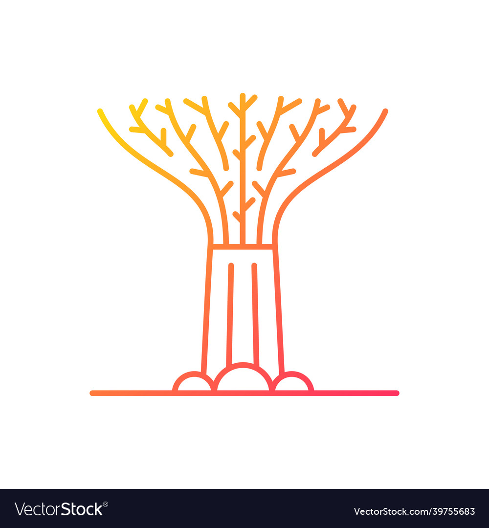 Supertree grove gradient linear icon vector image Supertree grove gradient linear icon