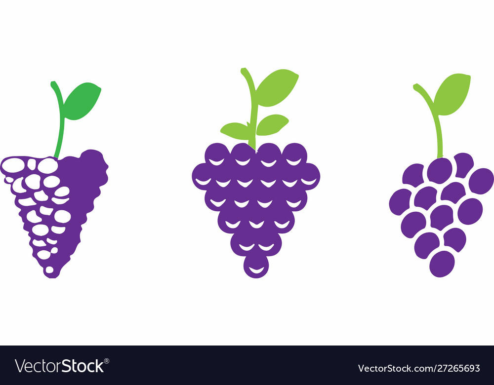 Grape icon on color background Vector Image Grape icon on color background