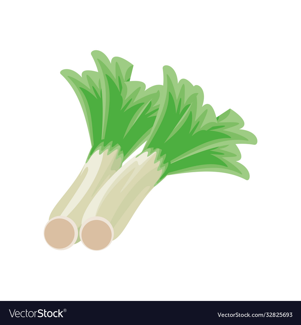 Leek Zwiebel auf weißem Hintergrund